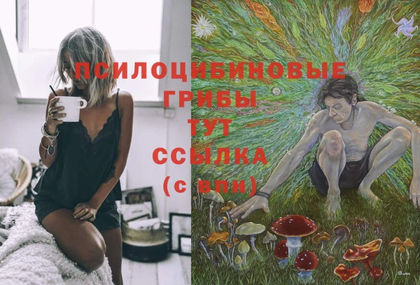 прущая мука Касимов